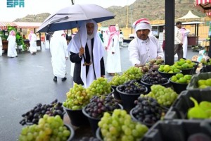 Pertanian Arab Bikin Kagum, Produk Buah dan Sayur lokal Banjiri Pasar
