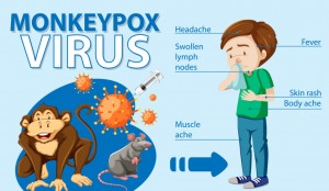 Pakar UGM: Waspada  Wabah Cacar Monyet, Biasakan  Cuci Tangan dan Pakai Masker