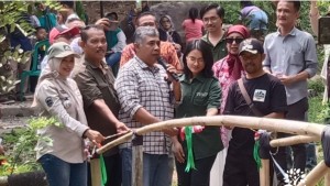 Bunihayu Forest, Destinasi Wisata Alam Baru yang Bawa Angin Segar untuk Purwakarta