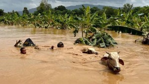 Lebih dari 200 Orang Tewas Akibat Banjir dan Tanah Longsor di Myanmar