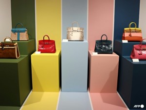 Bos Hermes Kembangkan Layanan Eksklusif: Jaga Rumah Mode Tanpa Cela, Tolak Ikuti  Rambah Hotel, Kacamata dan Perjalanan