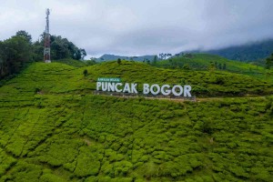 Wisata Puncak 2024, Destinasi Hits dari Alam hingga Wahana Modern