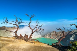 Liburan Akhir Tahun di Banyuwangi, Ini Tempat Wisata Halal yang Menarik