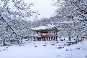 Inspirasi Liburan Musim Dingin di Korea Selatan, Menikmati Alam dan Street Food