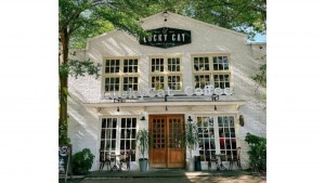 Lucky Cat & Coffee Cafe Hidden Gem dengan Suasana Homey dan Nyaman