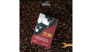 Worcas Promosikan Kopi Luwak ke Pasar Dunia