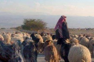 Hikmah di Balik Kisah Ibnu Umar dan Anak Penggembala