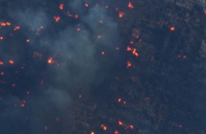 5 Fakta Penting Kebakaran Los Angeles, Diembuskan Angin Santa Ana, Kerugian Rp810 Triliun!