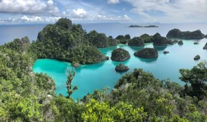 Raja Ampat Masuk Daftar Destinasi Wajib Dikunjungi di 2025 Versi New York Times