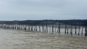 BREAKING: Pagar Bambu Laut Tangerang Ditolak Nelayan, LBH Jakarta dan Muhammadiyah Beri Somasi