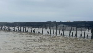 Perintah Presiden Prabowo: TNI AL Bongkar Pagar Laut Misterius di Tangerang