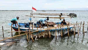 Menteri KKP Tegaskan Pagar Laut di Bekasi dan Tangerang Ilegal, Akan Dibongkar Rabu