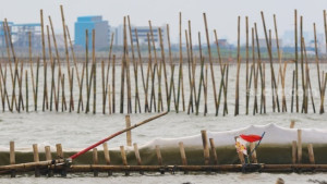 Pagar Laut Tangerang, Komisi IV Sebut Ada Potensi Kerugian Negara Rp300 Triliun