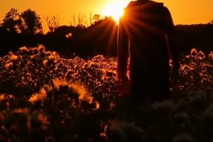 Kisah Sahabat Nabi: Tetap Melanjutkan Sholat ketika Musuh 3 Kali Memanahnya