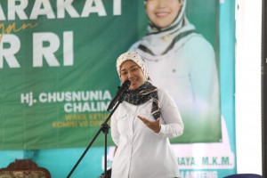 Chusnunia Chalim Desak Pemerintah Atasi Kenaikan Harga Minyak Goreng dan Banyaknya Impor Singkong