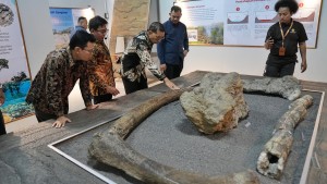 Telusuri Jejak Manusia Purba di Masa Awal Sejarah di Sangiran, Menteri Kebudayaan Tekankan Komitmen Pemerintah Bangun Literasi Sejarah Peradaban Bangsa