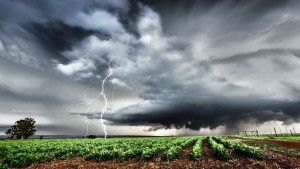 BMKG: 6 Kota Besar Indonesia Berpotensi Diguyur Hujan Disertai Petir Hari Ini