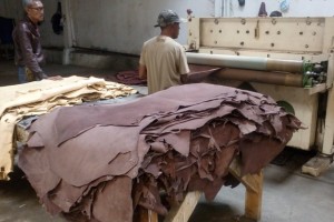 Hukum Memanfaatkan Kulit Tulang dan Rambut Bangkai