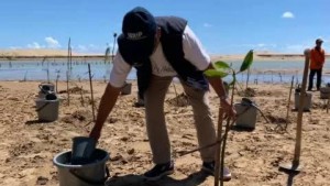 Kementerian LH Tunjuk Demak Jadi Percontohan Nasional Rehabilitasi Mangrove untuk Atasi Abrasi Pesisir Indonesia