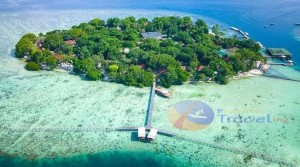 Pramono Bikin Gagasan Baru: Buka Wisata Kucing Seperti di Jepang di Pulau Seribu