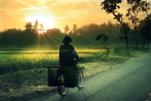 Kolom Hikmah Petunjuk-Nya: Manfaatkan Pagi Untuk Raih Berkah Yang Tak Terbatas