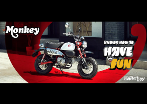 3 Warna Baru Honda Monkey 2025, Motor Mungil dengan Harga Selangit