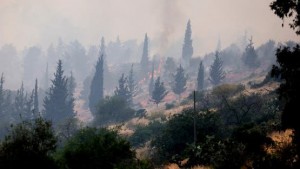 Menteri Pertahanan Israel Kerahkan Tentara untuk Bantu Padamkan Kebakaran Dekat Yerusalem