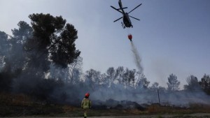 Kebakaran Israel: Sejumlah Negara Kirim Pesawat Pemadam untuk Bantu Atasi Kebakaran Besar