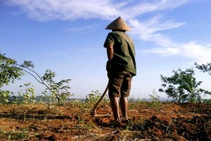 Jaga Harga Diri dengan Bekerja: Bercocok Tanam Sangat Mulia