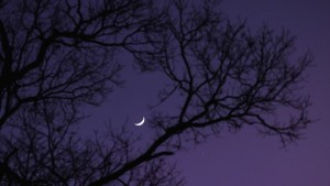 Hilal Dzulhijjah 2025: Arab Saudi Minta Warga Pantau Bulan Jelang Idul Adha dan Haji