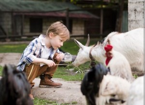 Hindari Gangguan Kesehatan, Ingatkan Anak Pakai Masker saat Lihat Hewan Kurban