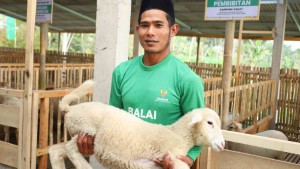 Kurban Online BAZNAS 2025: Praktis, Aman, dan Sesuai Syariah Lewat 30 Platform Digital