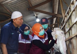 Idul Adha, Semen Indonesia Bagikan 21 Ton Daging Kurban di 20 Provinsi