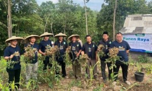 Muhammadiyah Berdayakan Masyarakat Baduy Melalui Pertanian