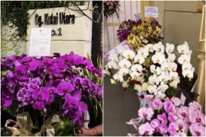 Dikirim Bunga Anggrek Ungu oleh Presiden Prabowo, Jokowi Tersentuh dan Merasa Dikuatkan