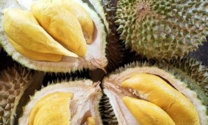 Hotel-hotel di Malaysia Bikin Gebrakan Baru: Tawarkan Prasmanan Durian Sepuasnya (All You Can Eat) Untuk Tarik Wisatawan