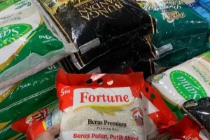 Waspada Beras Oplos, Kementan Rilis Daftar Merek Beras yang Diduga Oplosan