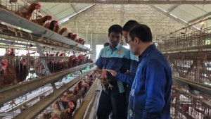 Kemendikdasmen Tekankan Penguatan Literasi untuk Cetak SDM Unggul di Industri Pangan