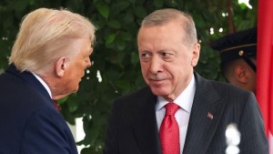 Erdogan & Trump Sepakat Dorong Gencatan Senjata Gaza, Harapan Baru Perdamaian Palestina
