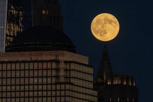 Usai Harvest Moon Tadi Malam, Simak Jadwal Fenomena Lainnya di Oktober 2025 Agar Tak Ketinggalan Momen