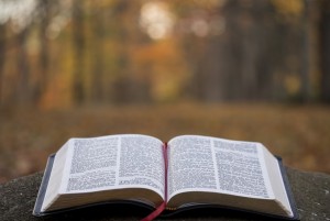 Menyelami Perbedaan Kisah Penciptaan dalam Qur'an dan Bibel Menurut Maurice Bucaille