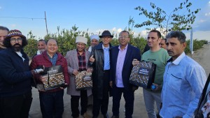 Mesir Kukuh Sebagai Pasar Ekspor Terbesar Pertama Indonesia di Afrika