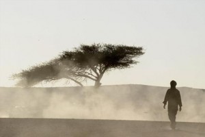 Dispensasi Ibadah bagi Musafir: Dasar Hukum dan Batas Toleransi Fikih dalam Perjalanan