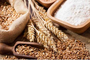 Membedah Dalil: Benarkah Kewajiban Zakat Fitri Pernah Terhapus?