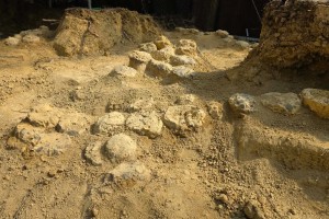 Ratusan Telur Dinosaurus Ditemukan di Prancis, Beberapa Masih Utuh Setelah 72 Juta Tahun