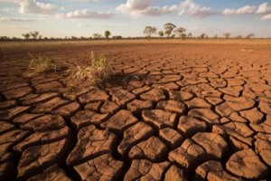 Prediksi BMKG: El Nino Terjadi di Pertengahan Tahun, Berpotensi Lebih Panas dan Kering