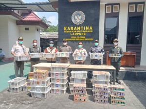 TNI AL Gagalkan Penyelundupan 620 Ekor Burung Ilegal di Bakauheni