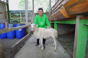 Potensi Ekonomi Kurban Tembus Rp34,85 Triliun, BAZNAS Soroti Dampak untuk Mustahik