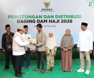 BAZNAS Salurkan 1.240 Kambing Dam Haji 2026 untuk Mustahik dan Peternak Lokal