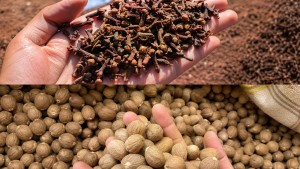 Ekspor Herbal Indonesia Tembus Pasar Saudi